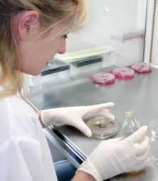 Student preparing a slide in the lab.